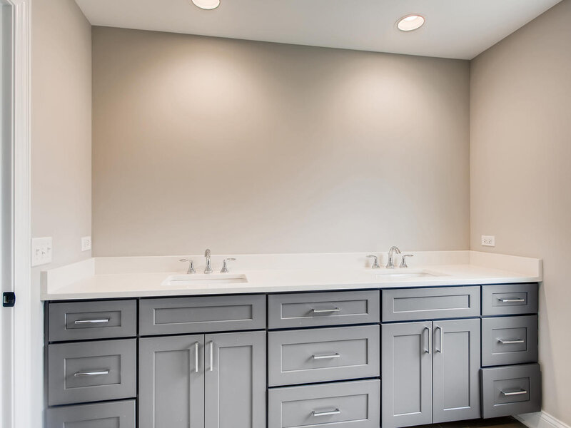 384 Woodland Chase Lane Vernon Hills IL 60061