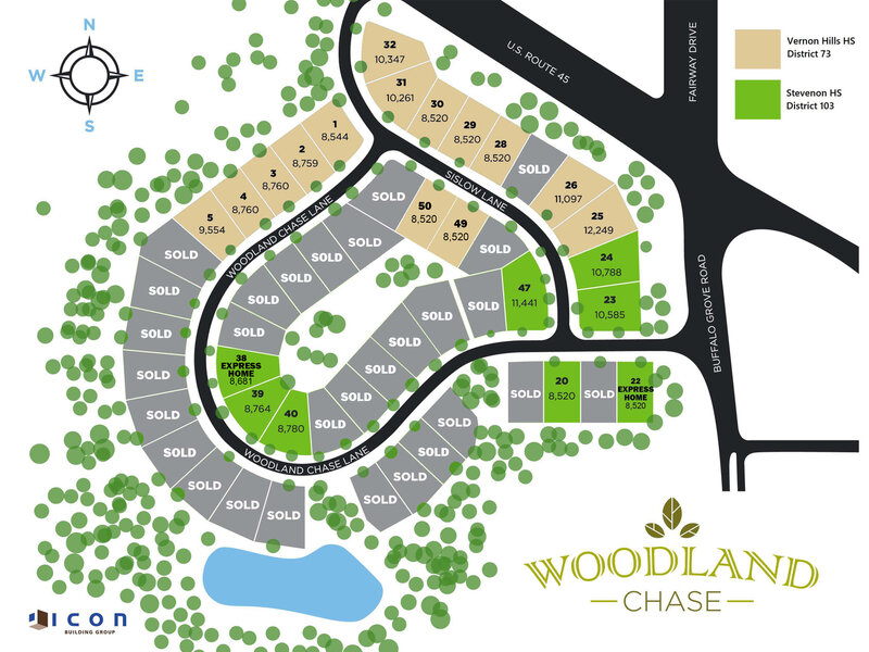 384 Woodland Chase Lane Vernon Hills IL 60061