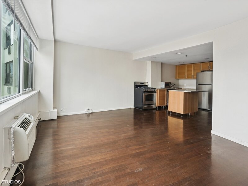 1150 N Lake Shore Drive Chicago IL 60611