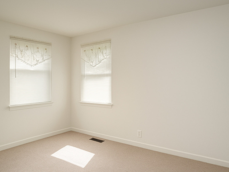 4133 Lindley Street Downers Grove IL 60515