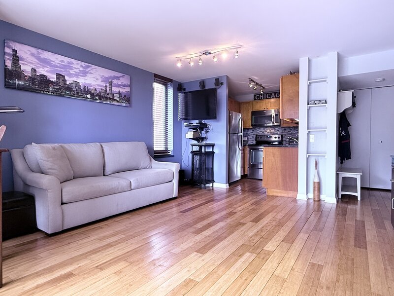 3660 N Lake Shore Drive Chicago IL 60613
