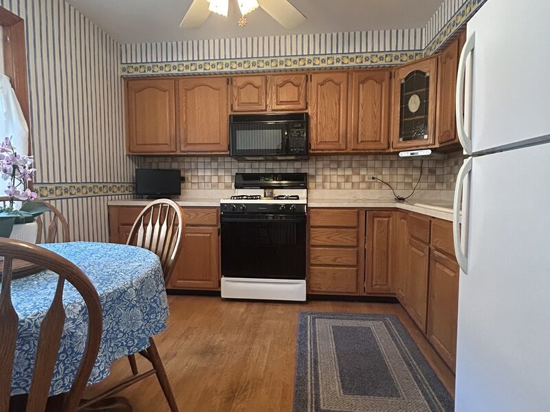 415 E Lincoln Street Mount Prospect IL 60056