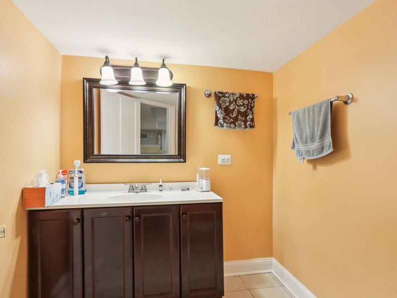 505 Rue Chamonix Deer Park IL 60010