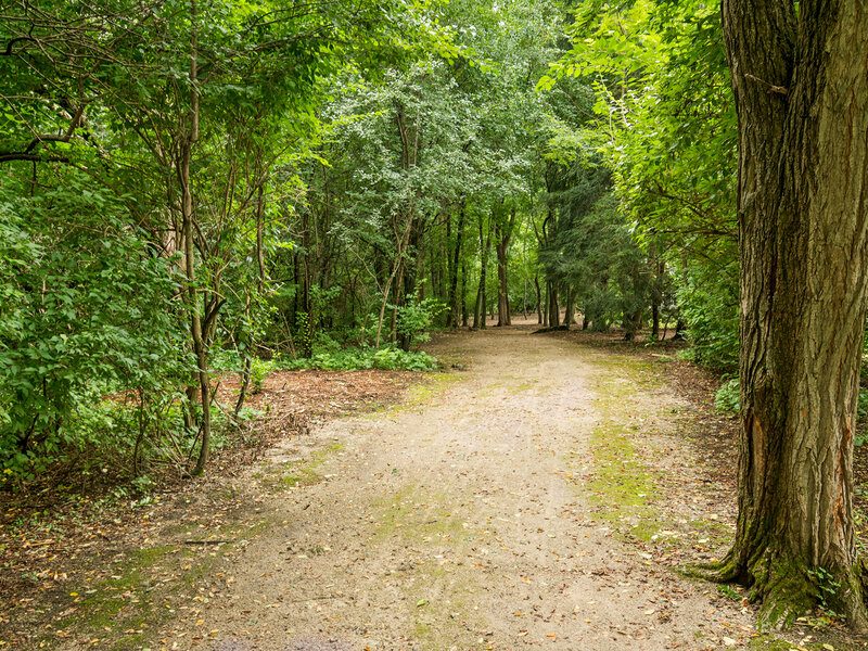 4614 Forest Way Circle Long Grove IL 60047