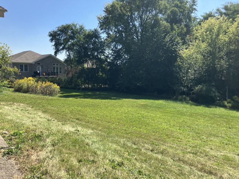 24 Lawrence Avenue Roselle IL 60172