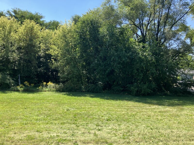 24 Lawrence Avenue Roselle IL 60172