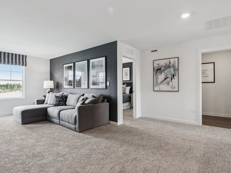 1452 Vintage Drive Oswego IL 60543