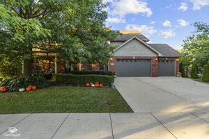 Photo of 8304 Queen Victoria Lane Tinley Park IL 60477