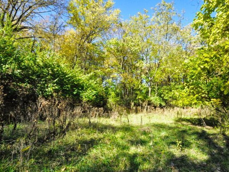 710 Short Street Streator IL 61364