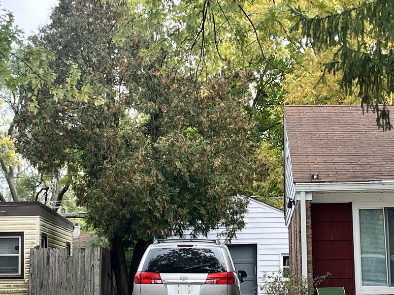 335 Manitowac Street Park Forest IL 60466