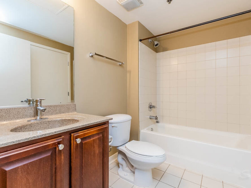 50 E 16th Street Chicago IL 60616