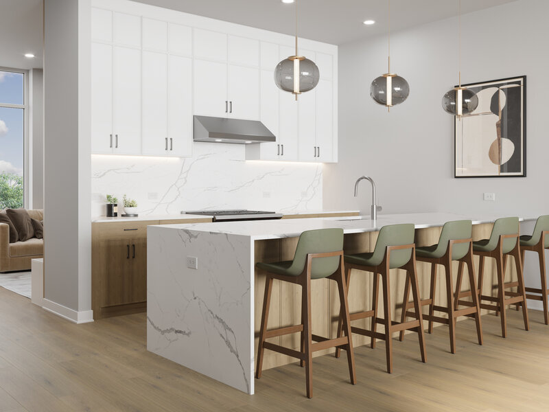 2235 W Oakdale Avenue Chicago IL 60618