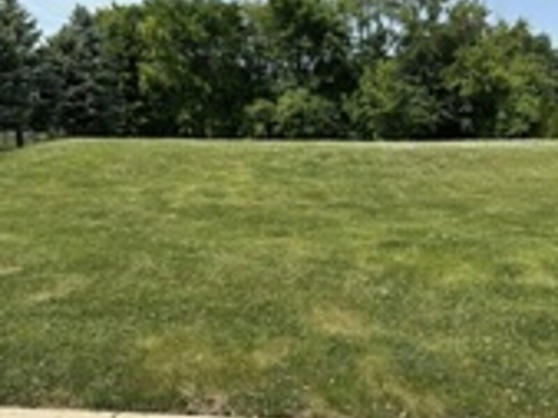 30 Whitney Road West Chicago IL 60185