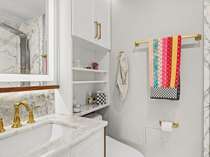 221 E Walton Place Chicago IL 60611