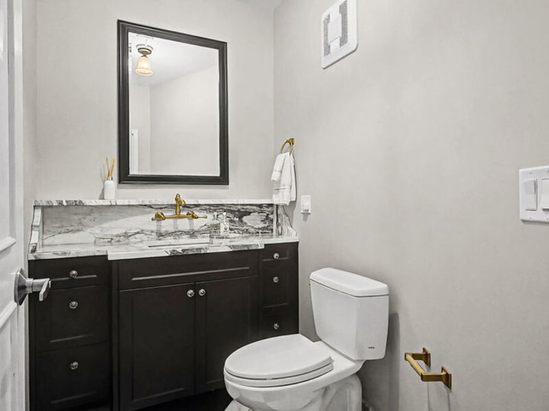 221 E Walton Place Chicago IL 60611