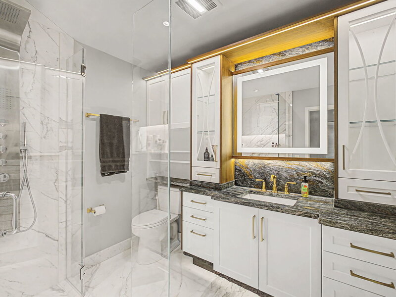 221 E Walton Place Chicago IL 60611