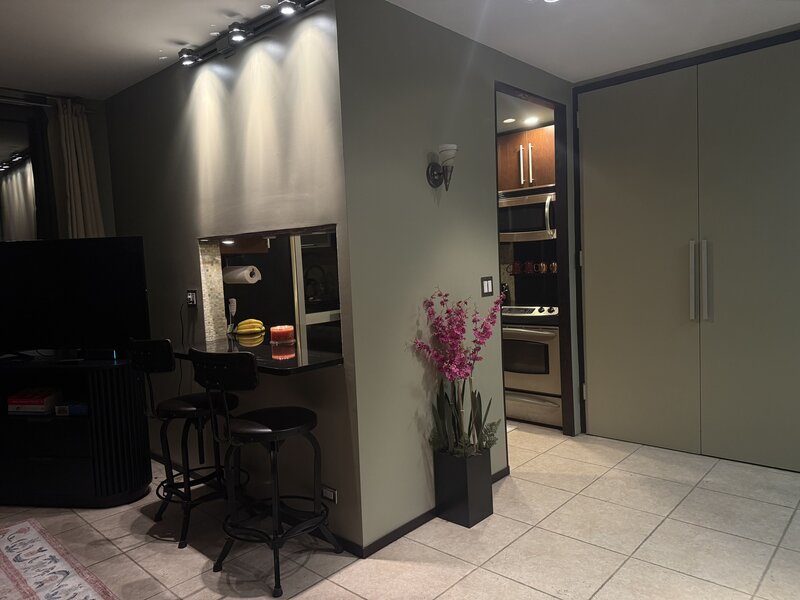 1300 N Astor Street Chicago IL 60610