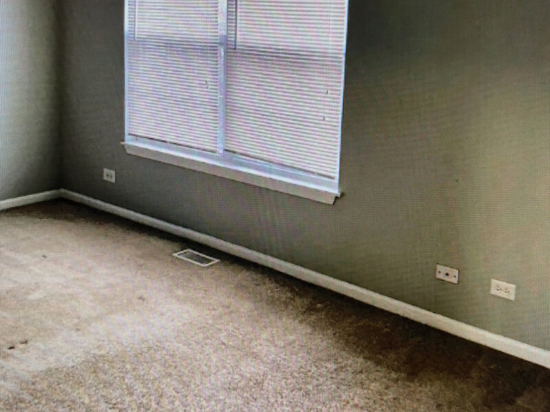 968 S Darla Court Waukegan IL 60085