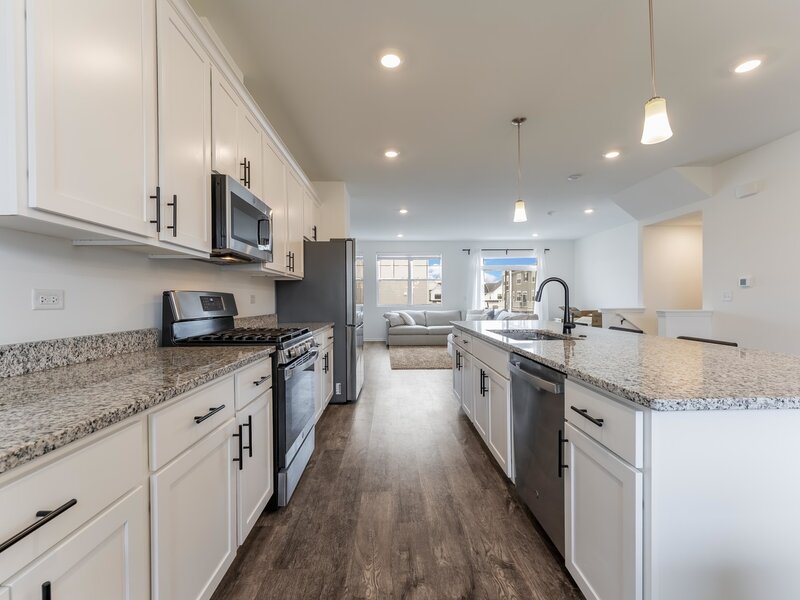 4429 Chelsea Manor Circle Aurora IL 60504