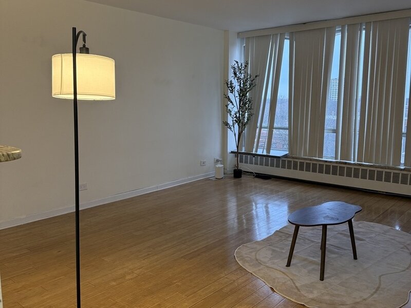 1450 E 55th Place Chicago IL 60637