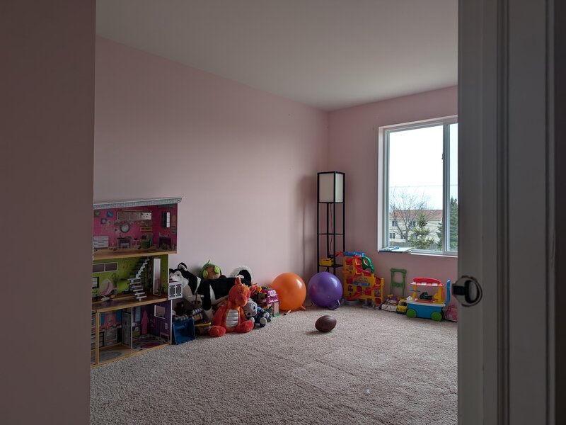 1085 Adagio Drive Volo IL 60073