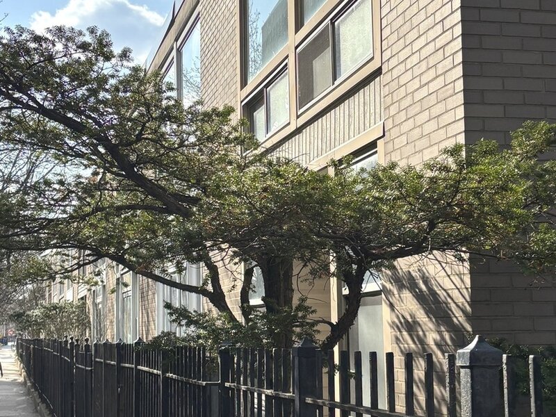 1428 E 55th Street Chicago IL 60615