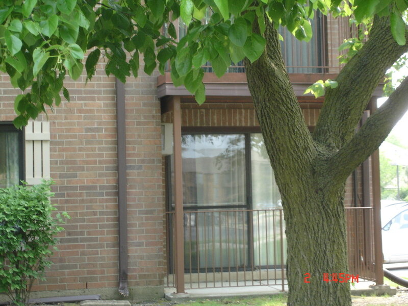 708 N Briar Hill Lane Addison IL 60101