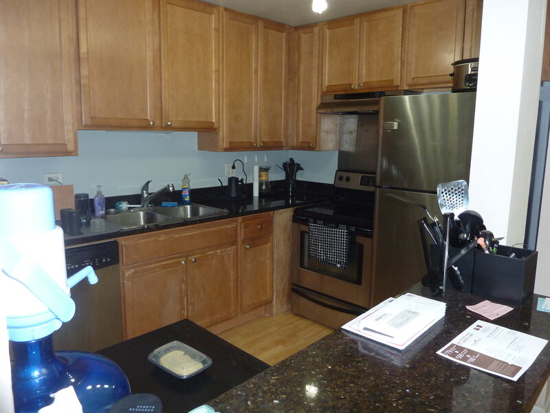 421 E Osage Lane Palatine IL 60074
