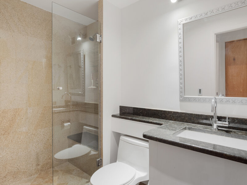 110 E Delaware Place Chicago IL 60611