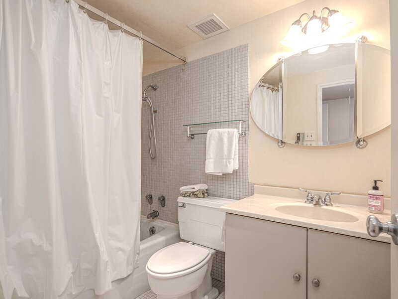 175 E Delaware Place Chicago IL 60611
