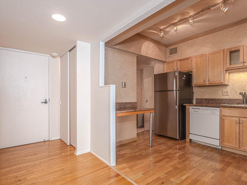 175 E Delaware Place Chicago IL 60611