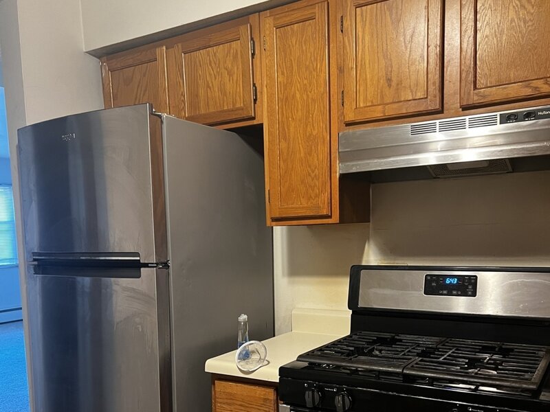 214 S Oak Park Avenue Oak Park IL 60302