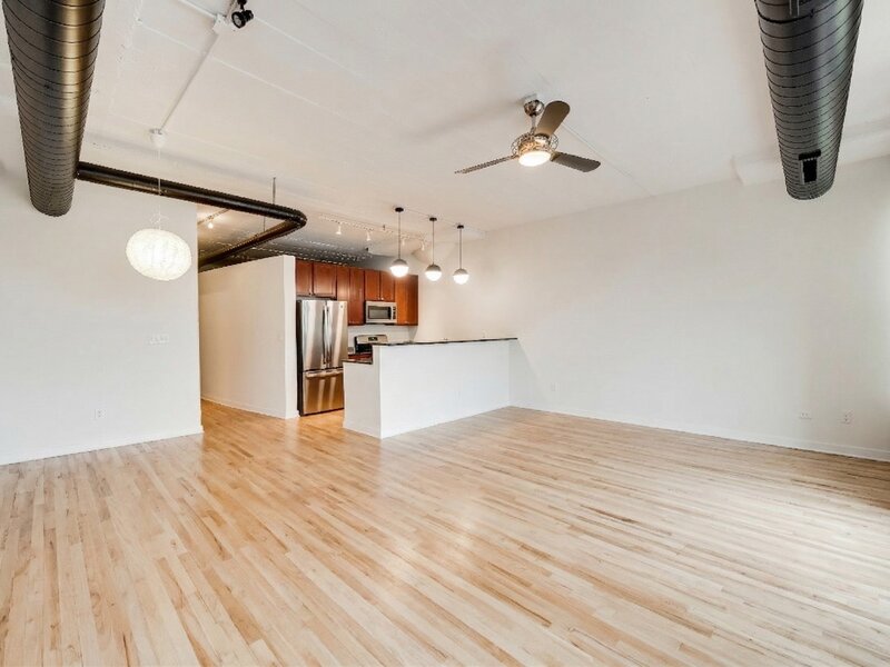 1069 W 14th Place Chicago IL 60608