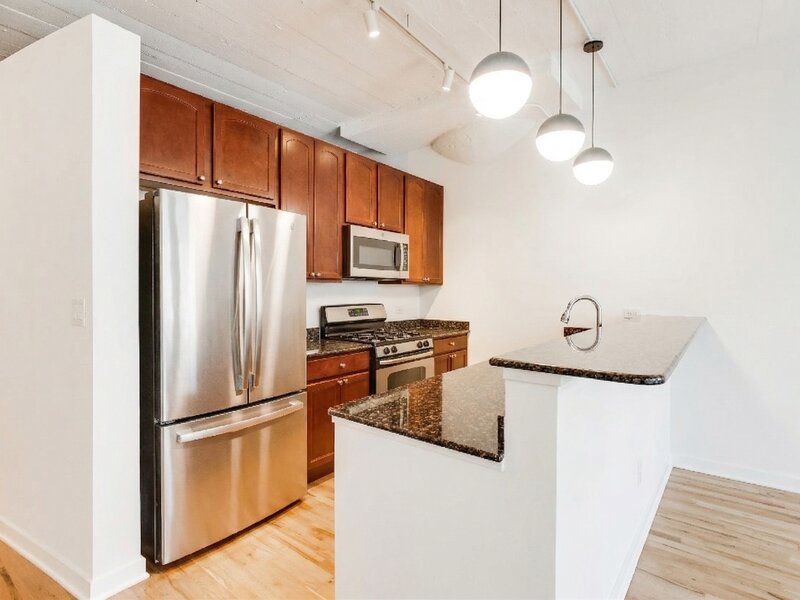 1069 W 14th Place Chicago IL 60608