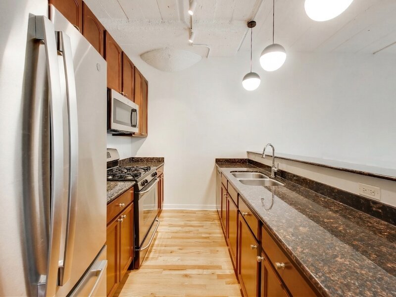 1069 W 14th Place Chicago IL 60608