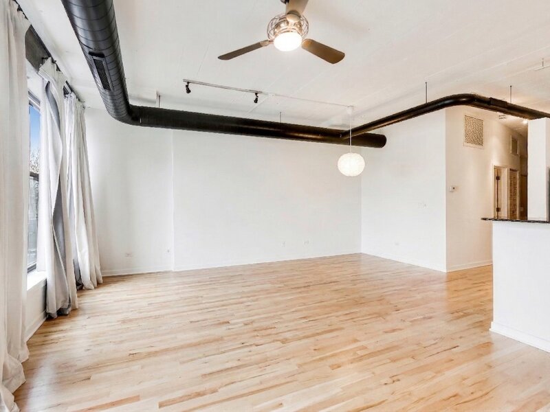 1069 W 14th Place Chicago IL 60608
