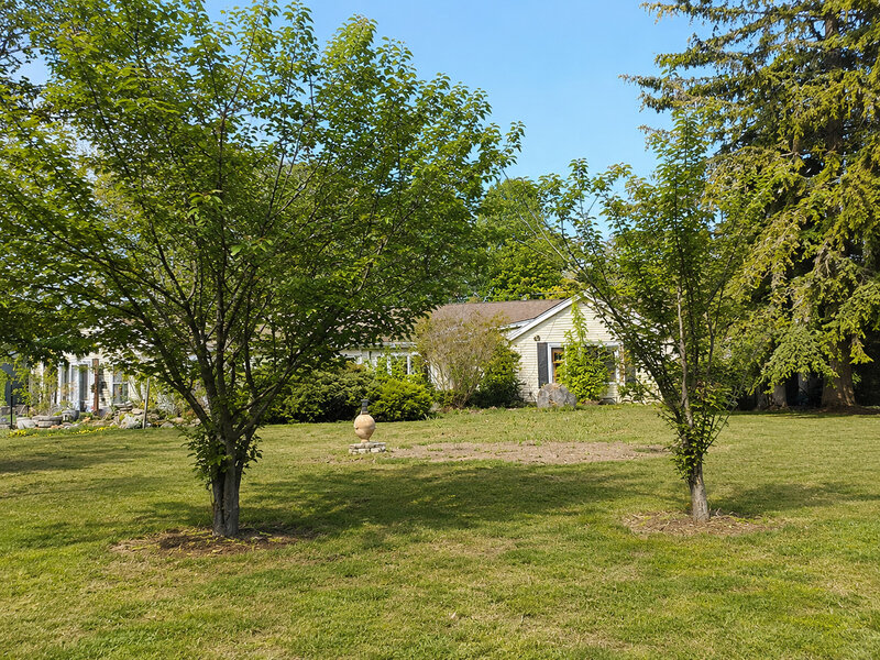 1028 S Walnut Avenue Arlington Heights IL 60005