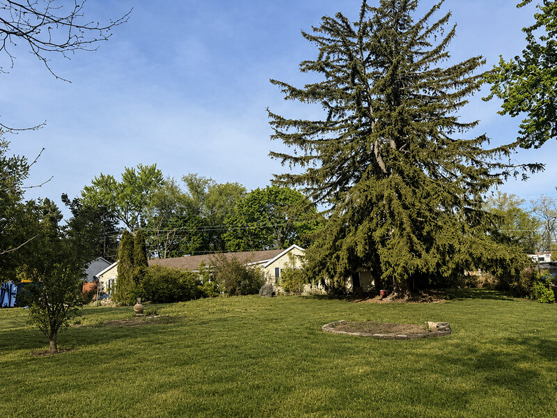 1028 S Walnut Avenue Arlington Heights IL 60005