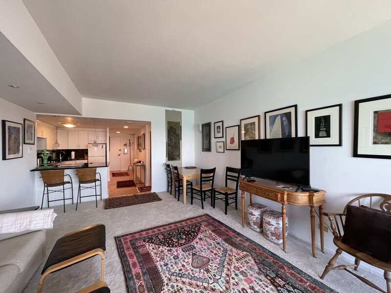 175 E Delaware Place Chicago IL 60611