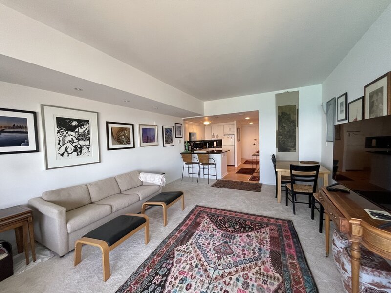 175 E Delaware Place Chicago IL 60611