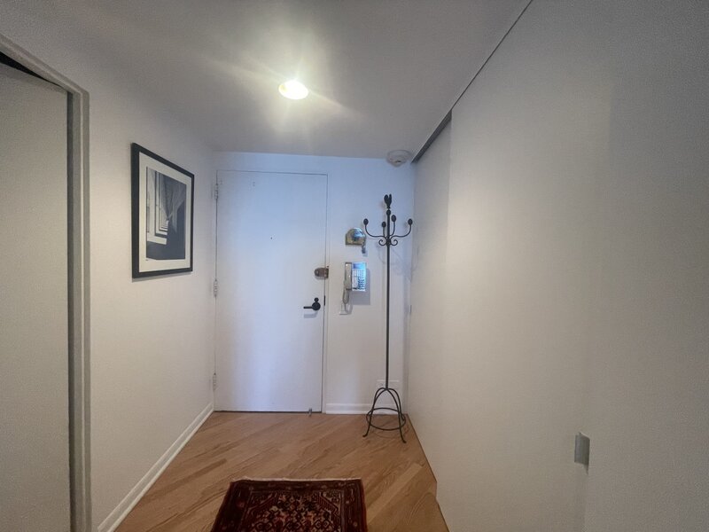 175 E Delaware Place Chicago IL 60611