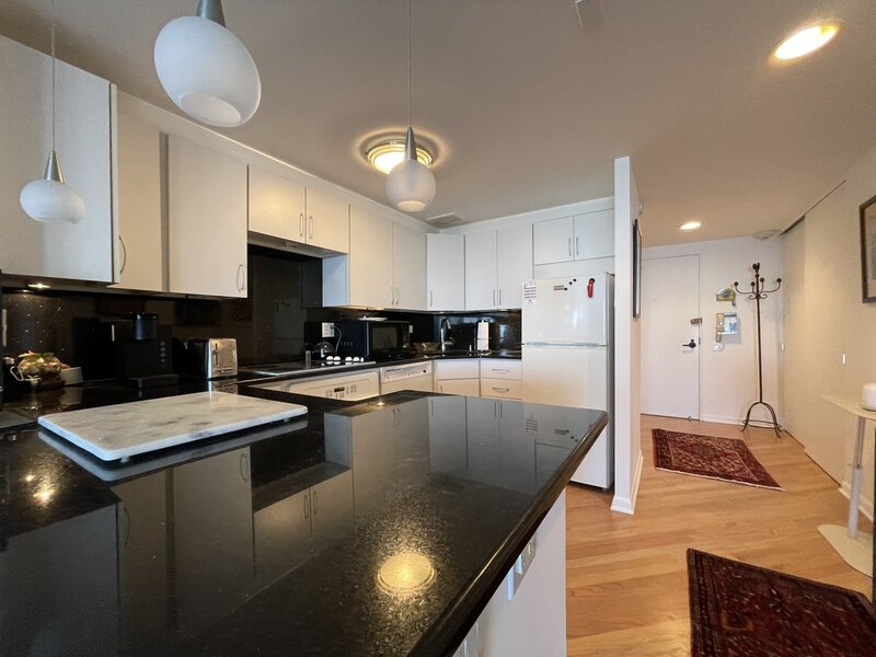 175 E Delaware Place Chicago IL 60611