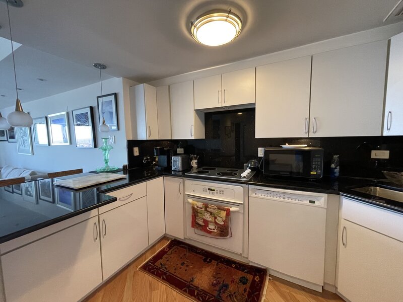 175 E Delaware Place Chicago IL 60611