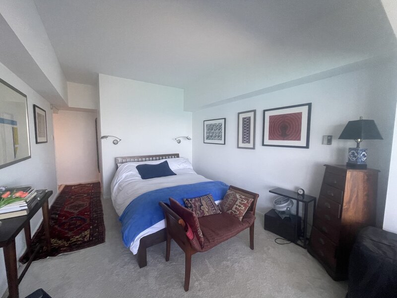 175 E Delaware Place Chicago IL 60611