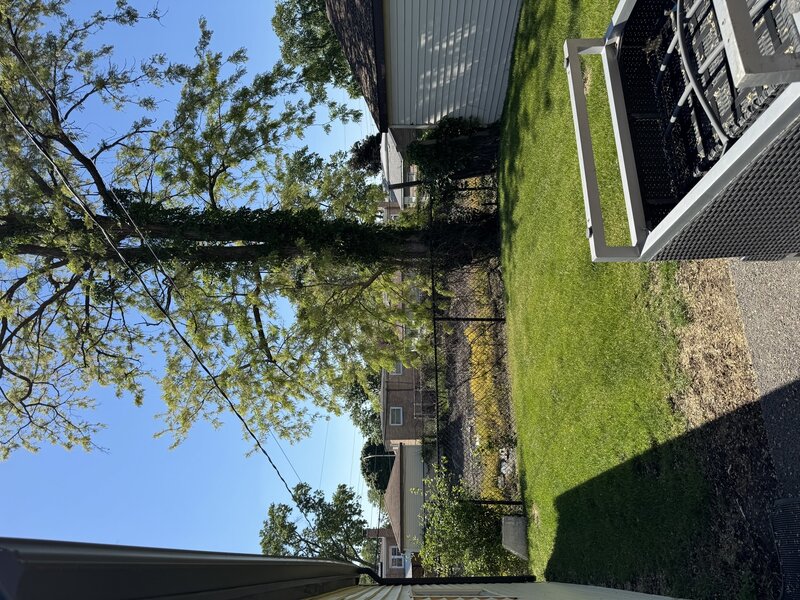 1116 Cernan Drive Bellwood IL 60104