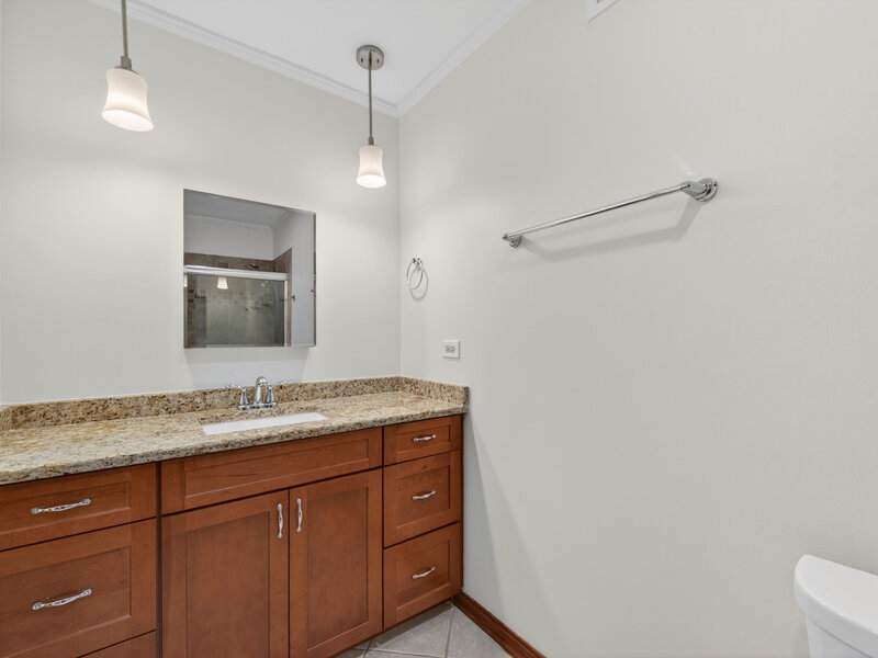 1717 N Burning Bush Lane Mount Prospect IL 60056