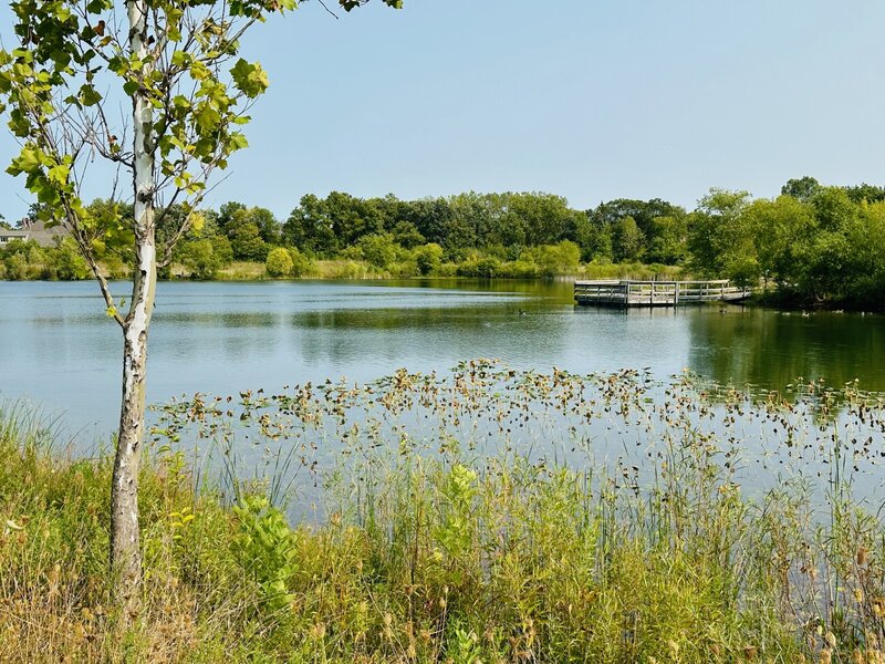 401 S Wood Dale Road Wood Dale IL 60191