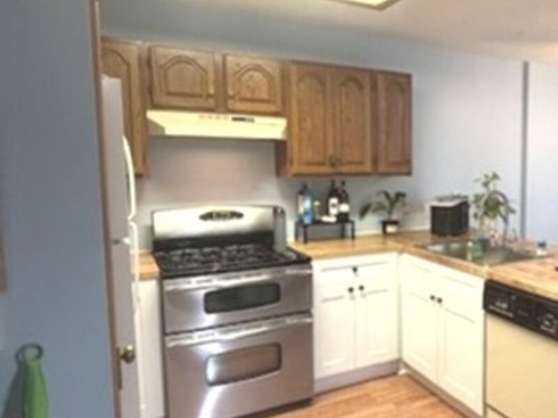229 Wethington Drive Wauconda IL 60084