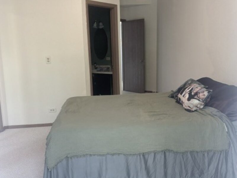 229 Wethington Drive Wauconda IL 60084