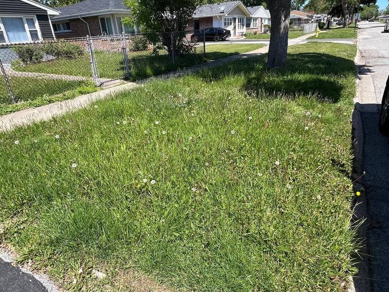 16442 Honore Avenue Markham IL 60428